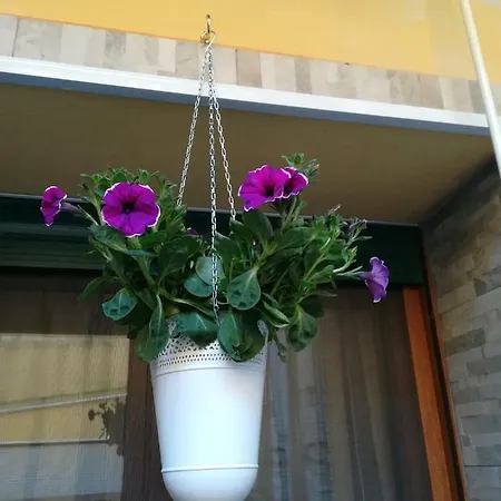 I Nuraghi Ii アパート *